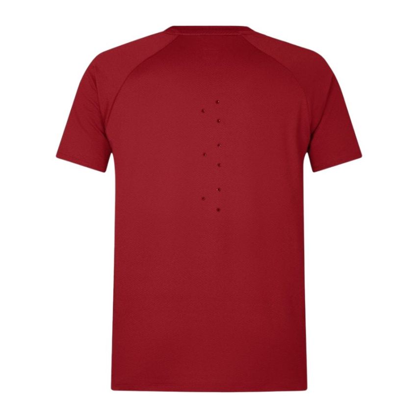 T-shirt Rugby Homme Everest British & Irish Lions - Canterbury