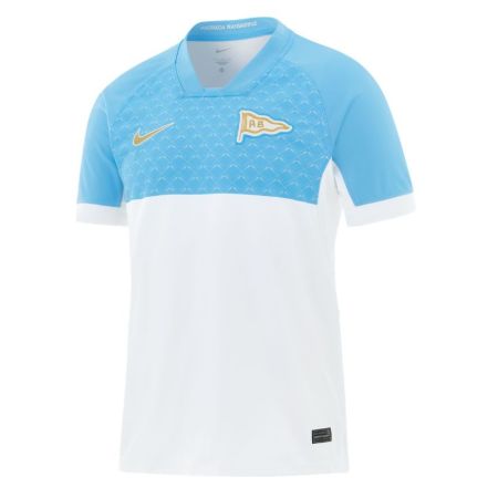 Maillot Domicile Aviron Bayonnais 2026-2027 120ans du Club Nike 