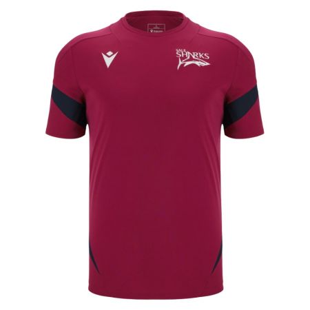 Tee-shirt Rugby Entraînement Sale Sharks 2025/2026 - Macron