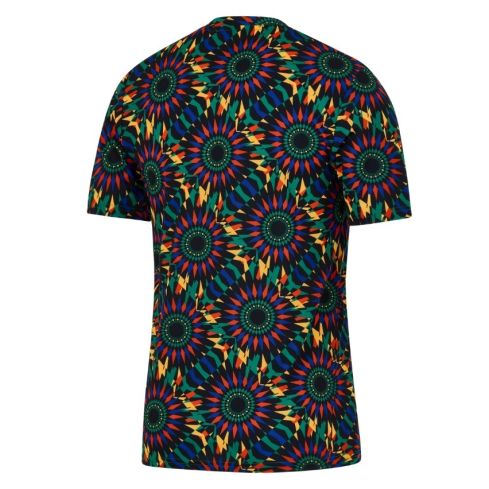 Maillot Pré-Match Rugby Springboks Afrique du Sud 2025/2026 - Nike