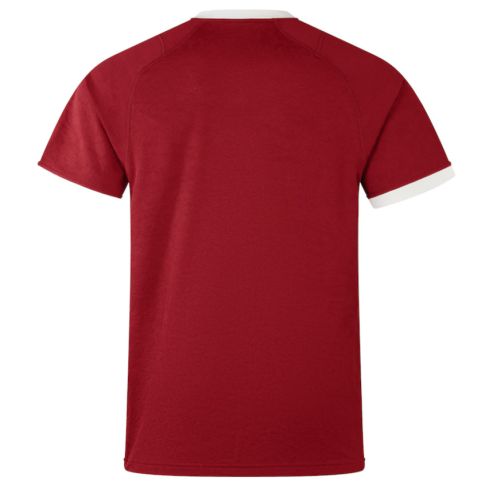 Maillot Rugby Réplica Lions Britanniques Et Irlandais Rouge - Canterbury