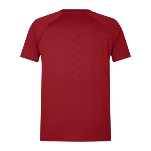 T-shirt Rugby Homme Everest British & Irish Lions - Canterbury